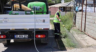 Hatay'da sinek ve haşerelere karşı mücadele 7 gün, 24 saat devam ediyor
