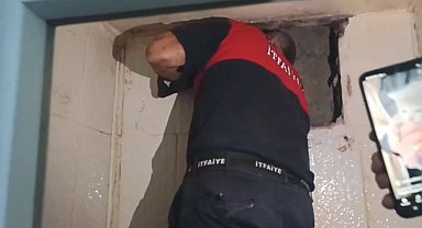 Havalandırma boşluğunda mahsur kalan yavru kedi kurtarıldı