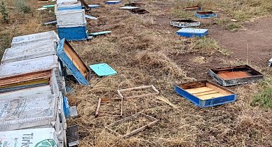 Hayrabolu'da hortum, arı kovanlarına zarar verdi: 163 kovan devrildi