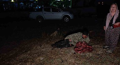 Hayvan parkından kaçan aslan fıstık bahçesinde uyuyan çiftçiye saldırdı