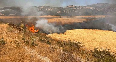 Hisarcık'ta biçerdöver kaynaklı yangında 2,5 dekar ekili alan zarar gördü