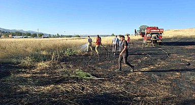 Hisarcık'taki arazi yangınında 7 dekar alan zarar gördü