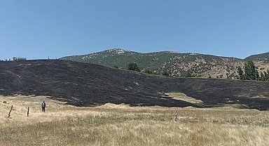 Hizan'da anız yangını, 40 dönüm arazi zarar gördü