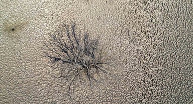 Hobi bahçelerinin kuyuları gölü kuruttu iddiası