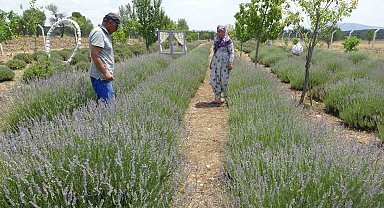 Hobiyle başladılar, geçim kaynağına dönüştü