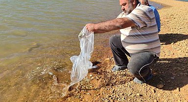 Hüyük'te göletler balıklandırıldı