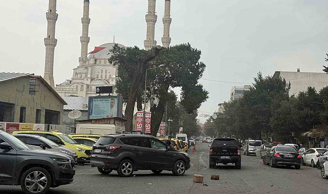 Iğdır'da etkili olan fırtına hayatı olumsuz etkiledi