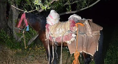 İran'dan katırla yurda sokulan 97 kilogram uyuşturucuya 1 gözaltı