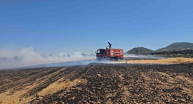 İslahiye'de 150 dönüm arazi kül oldu