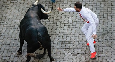 İspanya'da boğa koşularında 8 kişi yaralandı