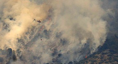 İspanya'da orman yangını: 2 bin 377 hektarlık alan yandı