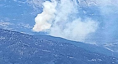 Isparta'da ormanlık alanda yangın