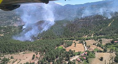 Isparta'daki orman yangınında 20 hektar alan zarar gördü