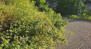 İspir'de görmezden gelinen tehlike