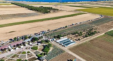İstanbul'da Lavanta Hasat Şenliği