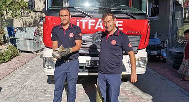 İtfaiye ekiplerinden yavru kedi kurtarma operasyonu