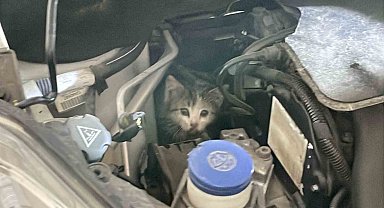 İtfaiye istasyonuna giderek yardım istedi, aracının motor kısmından kedi çıktı