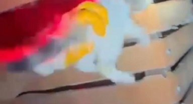 İtfaiyeden gece yarısı kedi kurtarma operasyonu