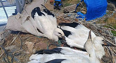 İtfaiyeden leyleğe uzanan şefkat eli