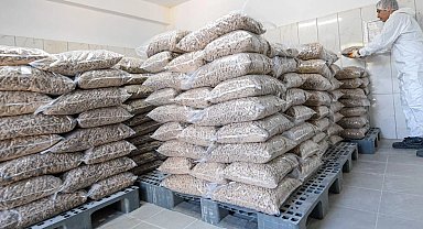 İzmir Belediyesi can dostlar için mama üretiyor