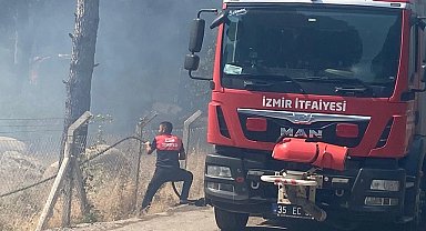 İzmir Bergama'da orman yangınına müdahale ediliyor