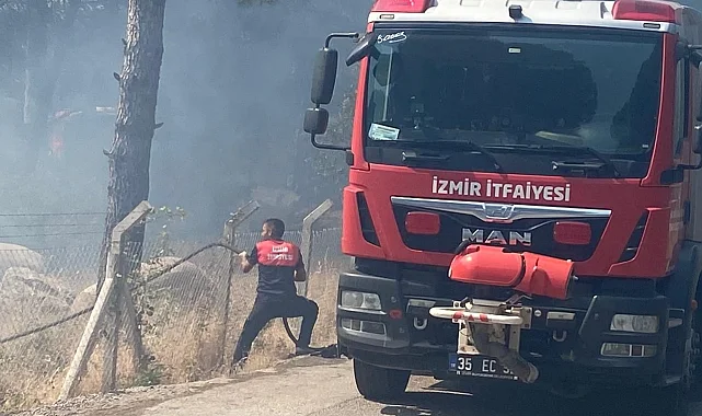İzmir Bergama'da orman yangınına müdahale ediliyor