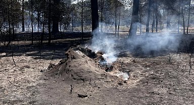 İzmir Bergama'daki orman yangını kontrol altında