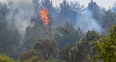 İzmir Buca için Bornova Belediyesi seferber oldu