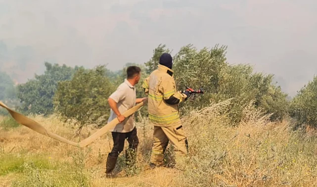İzmir Ödemiş'te yangınla mücadele sürüyor