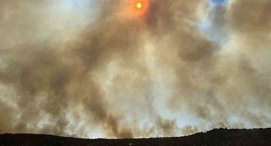 İzmir'de alevlerin yaklaştığı mahalle tahliye edildi