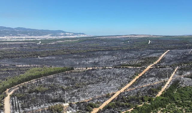 İzmir'de yangınlara karşı olağanüstü yol haritası belirlendi