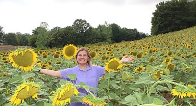 İzmit ayçiçek tarlalarından yağ üretecek