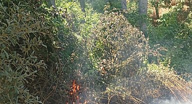 İznik'te orman yangını büyümeden söndürüldü