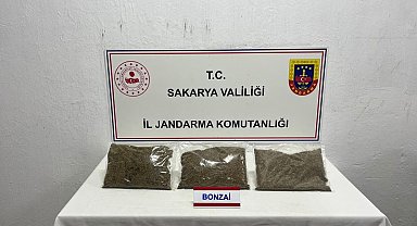 Jandarma uyuşturucuya geçit vermiyor: 1 tutuklama