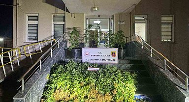 Jandarma uyuşturucuya geçit vermiyor: 1 tutuklama