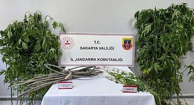 Jandarmadan uyuşturucu operasyonu: 1 tutuklama