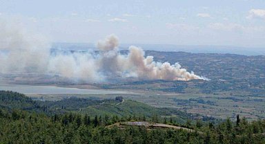 Kahramanmaraş'ta orman yangını