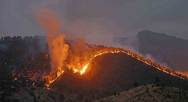 Kahramanmaraş'ta orman yangınına müdahale sürüyor