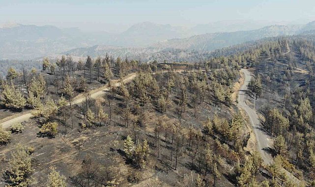 Kahramanmaraş'ta yangın sonrası küle dönen ormanlık alan dronla görüntülendi