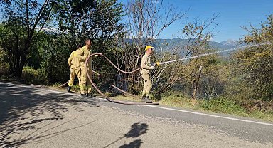 Kahramanmaraş'taki orman yangını söndürüldü