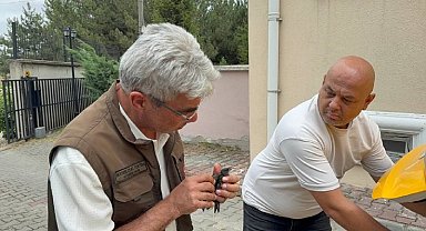 Karabük'te bitkin halde bulunan ebabil kuşu tedavi altına alındı