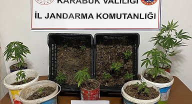 Karabük'te iki evde 14 kök kenevir ele geçirildi