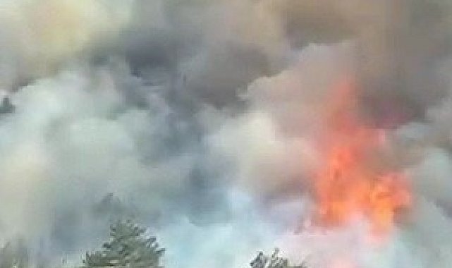 Karabük'te orman yangını çıktı