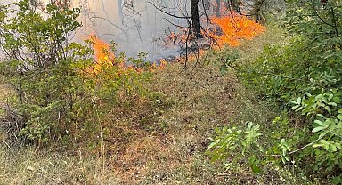 Karabük'te ormanlık alanda örtü yangını