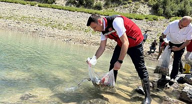 Karacaören Göleti'ne ilk kez 10 bin pullu sazan yavrusu bırakıldı