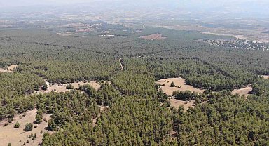Karacasu Kaymakamlığı'ndan 'Ormana Giriş Yasağı' hatırlatması