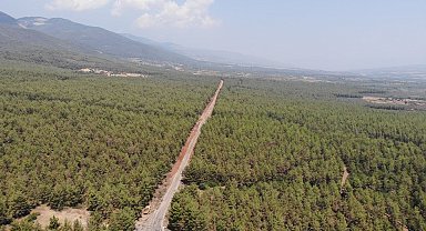 Karacasu'da ormanlarda sıkı denetim