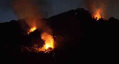 Karadeniz Ereğli'deki orman yangını 3,5 saat sonra kontrol altına alındı