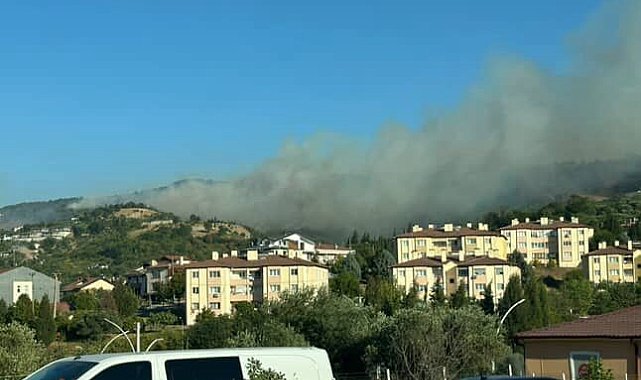 Karamürsel'de orman yangını başladı