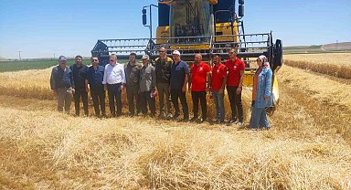 Karapınar'da hububat hasadı devam ediyor